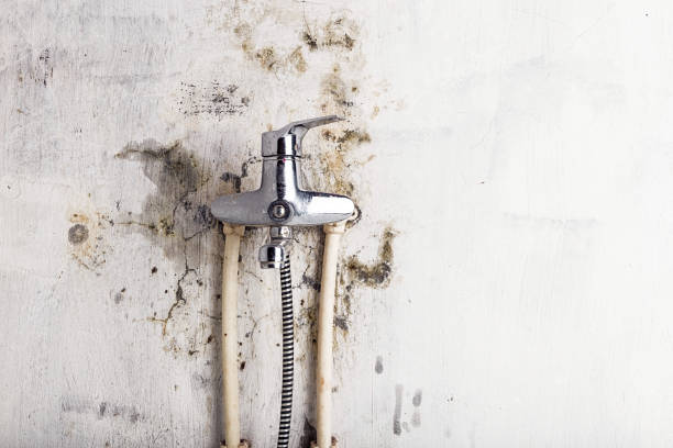 Best Bathroom Mold Remediation in Buckhead, GA