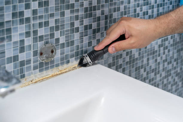 Best Basement Mold Remediation in Buckhead, GA