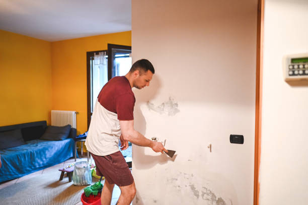 Best Mold Testing and Inspection Services in Buckhead, GA